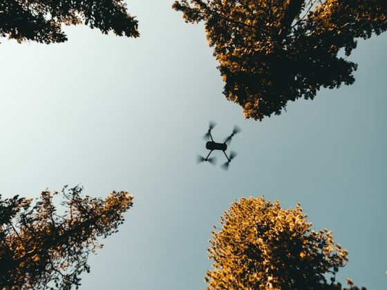 low angle photo of drone near trees